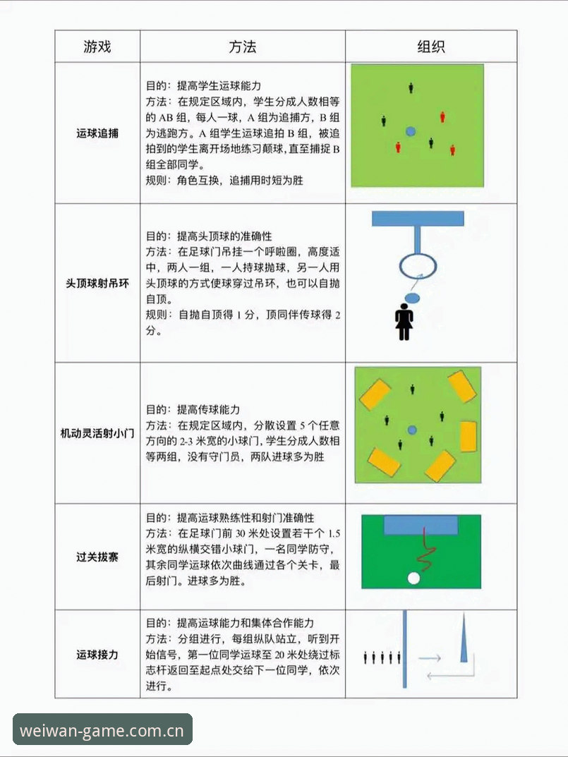 微玩体育使用教程 新手vs老手:微玩体育使用教程深度对比分析,哪套方案更适合你?
