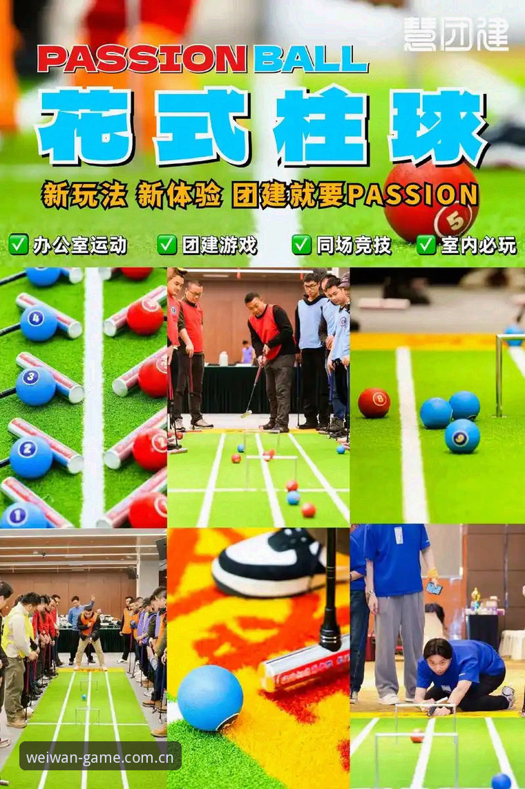 揭秘微玩体育正版：2024年释放运动激情的正确打开方式