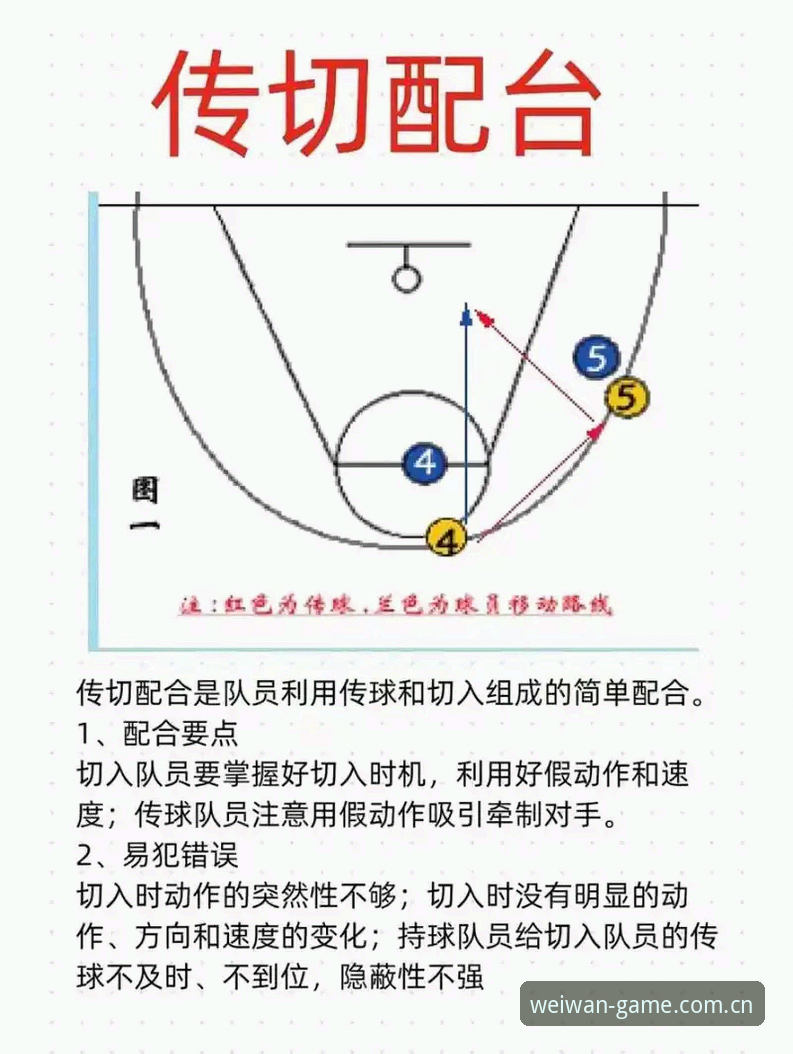 新手vs老手：微玩体育使用教程深度对比分析，哪套方案更适合你？