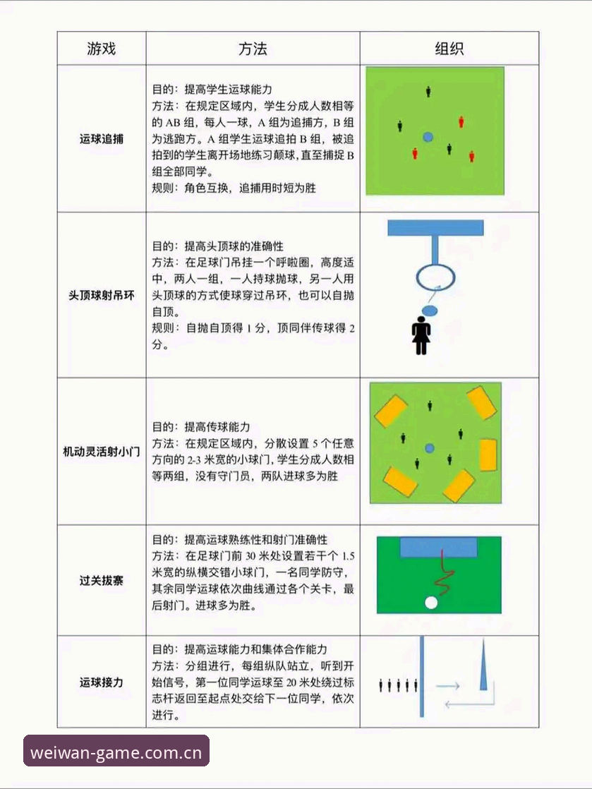 微玩体育平台使用教程：从入门到精通，释放2024运动激情
